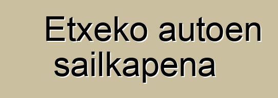 Etxeko autoen sailkapena