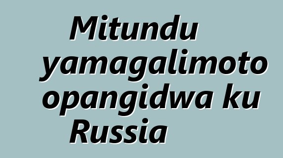 Mitundu yamagalimoto opangidwa ku Russia