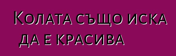 Колата също иска да е красива