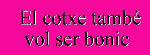El cotxe també vol ser bonic