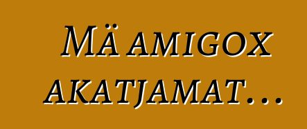 Mä amigox akatjamat...