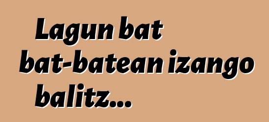 Lagun bat bat-batean izango balitz...