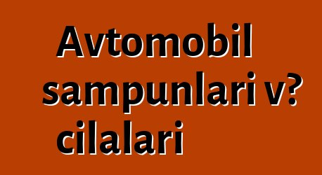 Avtomobil şampunları və cilaları