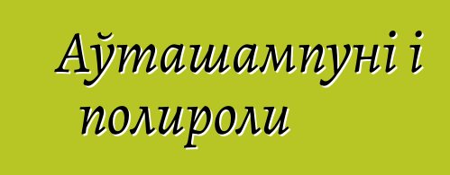 Аўташампуні і полироли