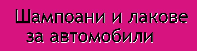 Шампоани и лакове за автомобили