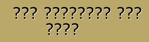 কার শ্যাম্পু এবং পলিশ