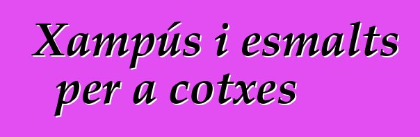 Xampús i esmalts per a cotxes