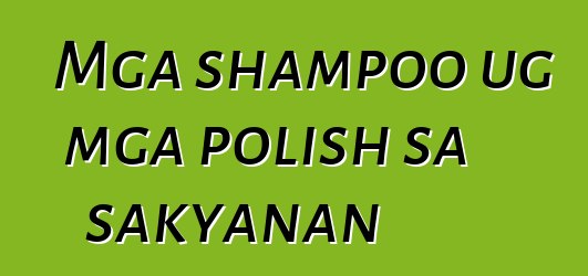 Mga shampoo ug mga polish sa sakyanan