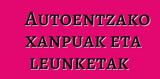 Autoentzako xanpuak eta leunketak