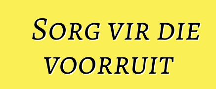 Sorg vir die voorruit