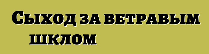 Сыход за ветравым шклом