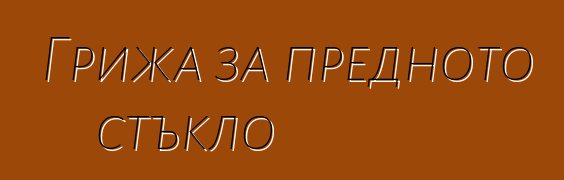 Грижа за предното стъкло