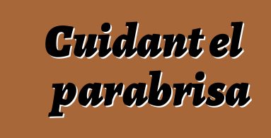 Cuidant el parabrisa