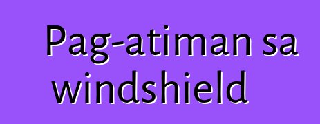 Pag-atiman sa windshield