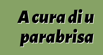 A cura di u parabrisa