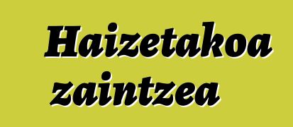 Haizetakoa zaintzea
