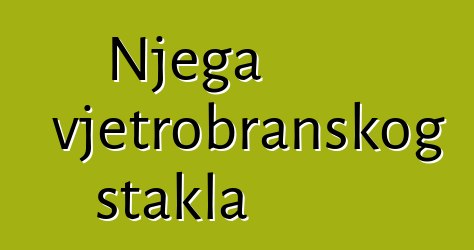 Njega vjetrobranskog stakla