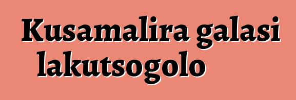 Kusamalira galasi lakutsogolo
