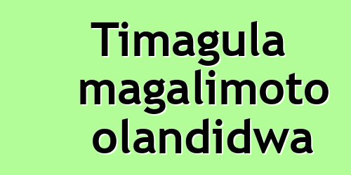 Timagula magalimoto olandidwa