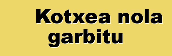 Kotxea nola garbitu