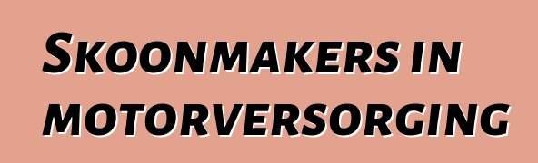 Skoonmakers in motorversorging