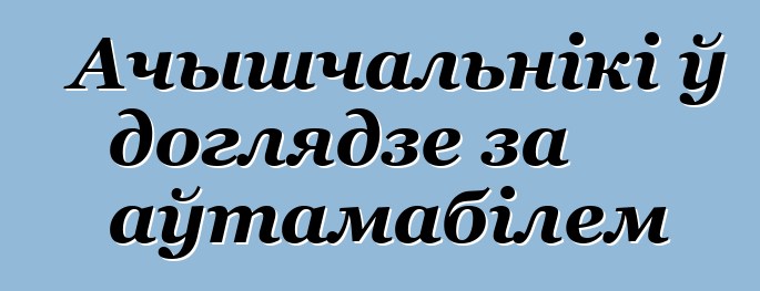 Ачышчальнікі ў доглядзе за аўтамабілем