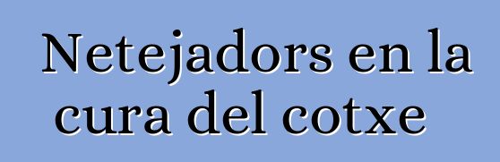 Netejadors en la cura del cotxe