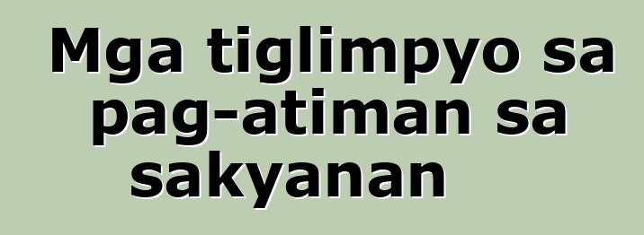 Mga tiglimpyo sa pag-atiman sa sakyanan