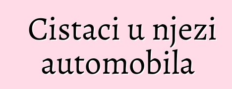 Čistači u njezi automobila