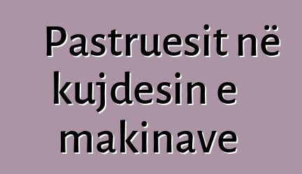 Pastruesit në kujdesin e makinave