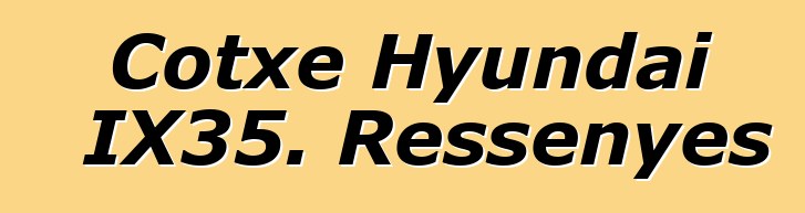 Cotxe Hyundai IX35. Ressenyes