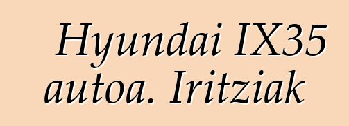 Hyundai IX35 autoa. Iritziak
