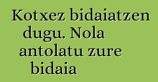 Kotxez bidaiatzen dugu. Nola antolatu zure bidaia