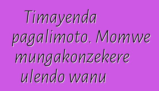 Timayenda pagalimoto. Momwe mungakonzekere ulendo wanu