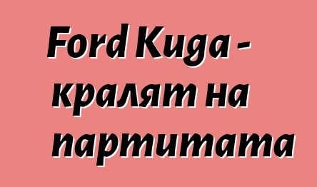 Ford Kuga - кралят на партитата