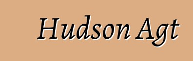 Hudson Agt