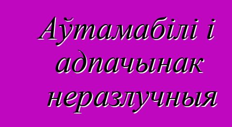 Аўтамабілі і адпачынак неразлучныя