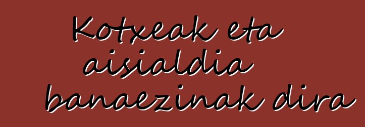 Kotxeak eta aisialdia banaezinak dira
