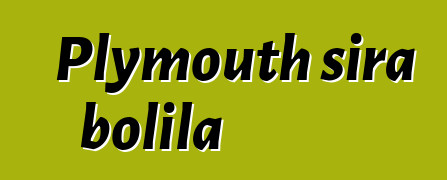 Plymouth sira bolila