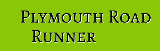 Plymouth Road Runner