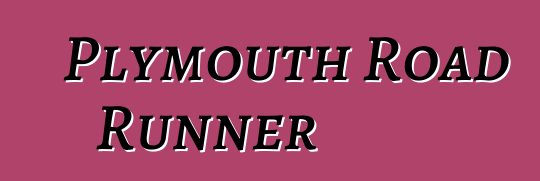 Plymouth Road Runner