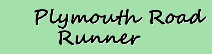 Plymouth Road Runner