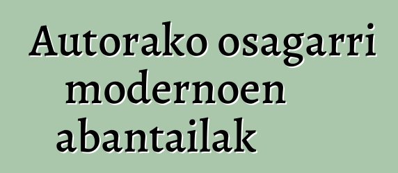 Autorako osagarri modernoen abantailak