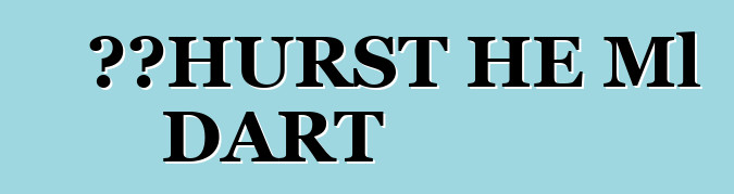 道奇HURST HE Ml DART