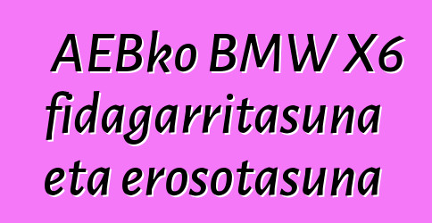 AEBko BMW X6 fidagarritasuna eta erosotasuna