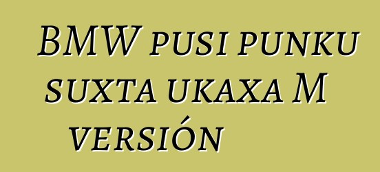BMW pusi punku suxta ukaxa M versión