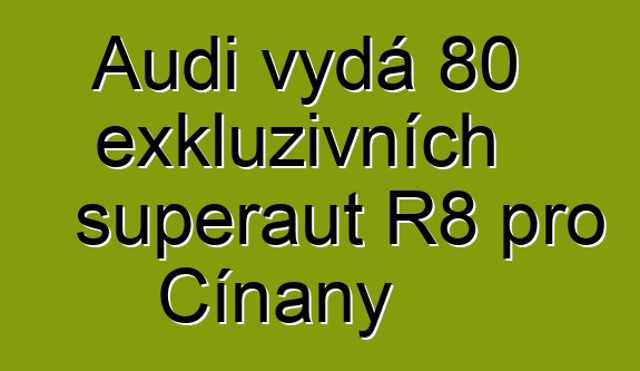 Audi vydá 80 exkluzivních superaut R8 pro Číňany