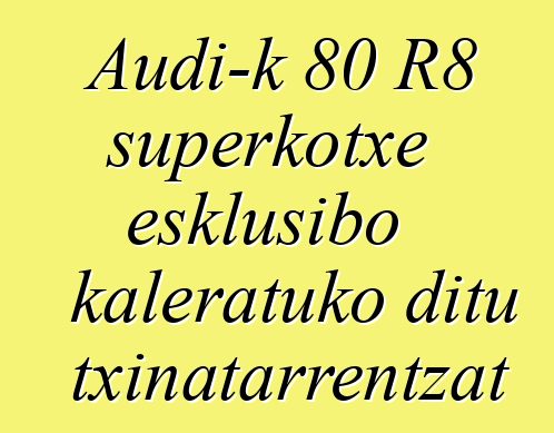 Audi-k 80 R8 superkotxe esklusibo kaleratuko ditu txinatarrentzat