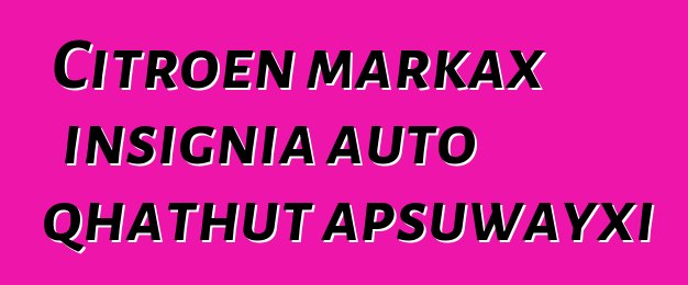 Citroen markax insignia auto qhathut apsuwayxi
