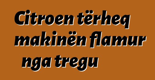 Citroen tërheq makinën flamur nga tregu